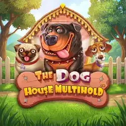The Dog House Multihold game at Avantgarde Casino for United Kingdom players